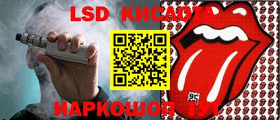крисы Кулебаки
