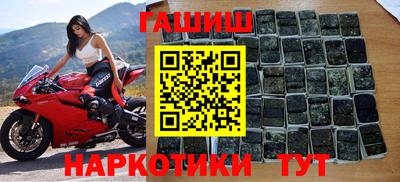 крисы Кулебаки