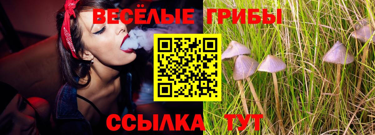 Галлюциногенные грибы ЛСД  Вход с VPN  Галлюциногенные грибы MAGIC MUSHROOMS  Кемерово 