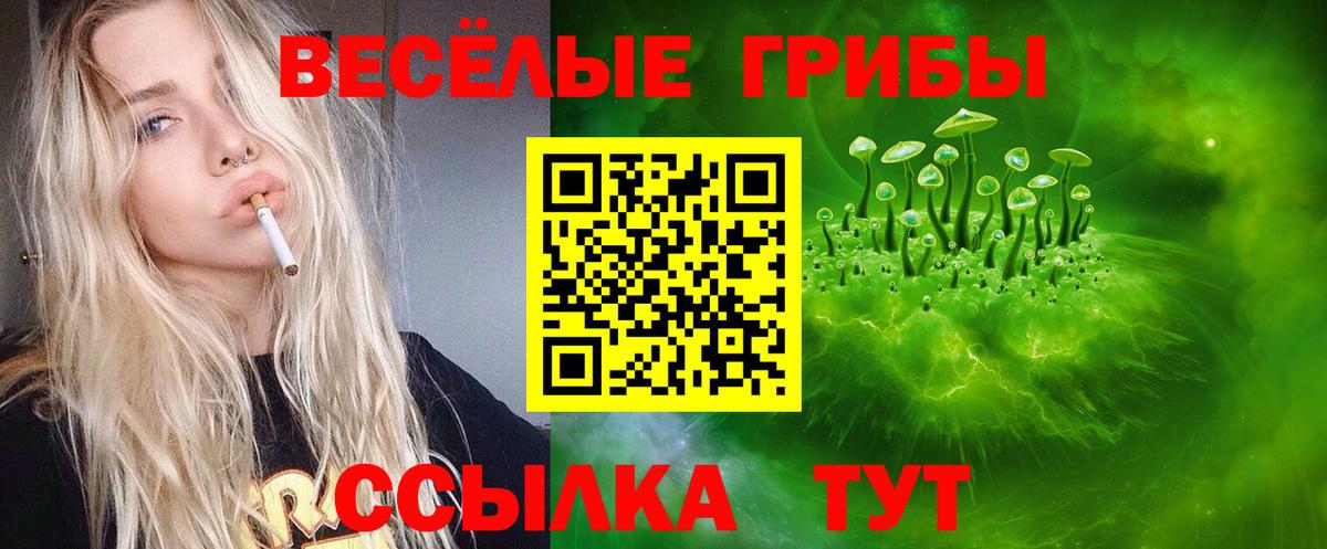 Галлюциногенные грибы Magic Shrooms Кемерово